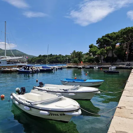 Vitis * Zaton (Dubrovnik-Neretva)