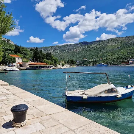 Vitis Zaton (Dubrovnik-Neretva)