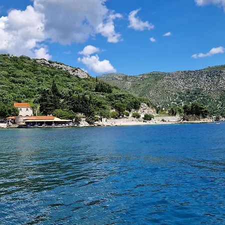 Vitis * Zaton (Dubrovnik-Neretva)